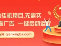首码0撸挂机项目：无需实名与广告，一键启动轻松收益【揭秘】