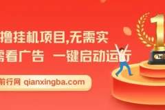 首码0撸挂机项目：无需实名与广告，一键启动轻松收益【揭秘】