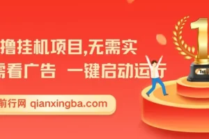 首码0撸挂机项目：无需实名与广告，一键启动轻松收益【揭秘】