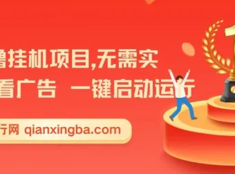 首码0撸挂机项目：无需实名与广告，一键启动轻松收益【揭秘】