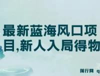 最新得物蓝海风口项目：新人入局指南，单账号月变现破万