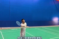 迪迪王羽毛球38节假动作实战课：前场中场后场全解析