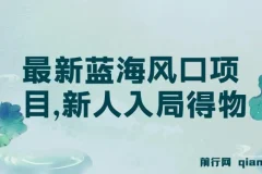 最新得物蓝海风口项目：新人入局指南，单账号月变现破万