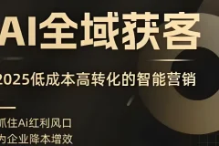 AI全域获客实训营：2025年低成本高转化的智能营销课程
