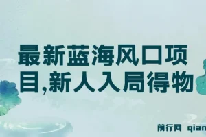 最新得物蓝海风口项目：新人入局指南，单账号月变现破万