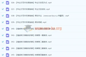 贺翔AI写作变现特训营：GPT写作技巧与写作变现方法（139节课）