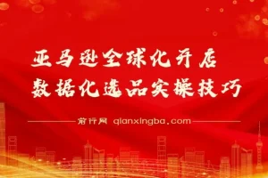 亚马逊全球化开店：数据化选品实操技巧课程