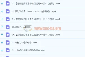 2024初三中考数学寒假班（春上） – 王杭州