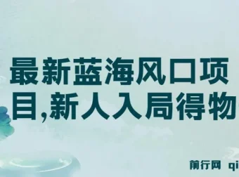 最新得物蓝海风口项目：新人入局指南，单账号月变现破万