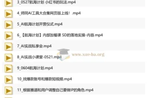 AI商盟《AI实战私享会》：全面AI自媒体实战课程