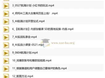 AI商盟《AI实战私享会》：全面AI自媒体实战课程