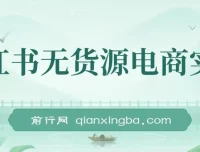 2024小红书无货源电商实战课程：把握新电商风口