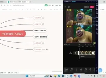 熊出没中英文反差视频制作教程：小白涨粉秘籍