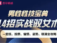 男性性技宝典视频课：14招实战驭女术全攻略