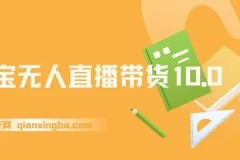淘宝无人直播带货10.0教程，2025年蓝海风口，操作简单易上手