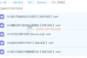 2024中考语文复习冲刺课程完结版