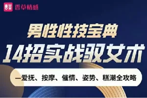男性性技宝典视频课：14招实战驭女术全攻略