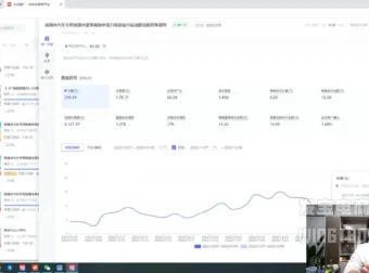 拼多多爆款运营实战课：活动玩法·付费推广·自然流量全攻略