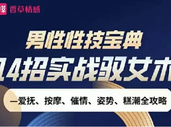 男性性技宝典视频课：14招实战驭女术全攻略
