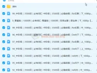 原原高单词速记万能考试5000词：笑着记完核心词汇