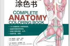 完全人体解剖涂色书：150余幅精准插图，系统覆盖解剖学全领域[PDF]