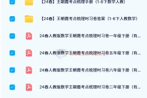王朝霞考点梳理时习卷（24春）1-6年级下册人教版数学全套