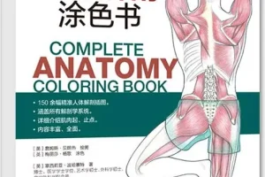 完全人体解剖涂色书：150余幅精准插图，系统覆盖解剖学全领域[PDF]