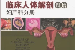 女性解剖图谱（彩图版）高清电子书