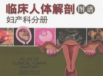 女性解剖图谱（彩图版）高清电子书