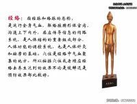 高思楠补肾宝典：现代男性健康养护指南