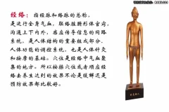 高思楠补肾宝典：现代男性健康养护指南