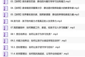 优等生养成课：激发孩子内驱力的系统方法（完结）