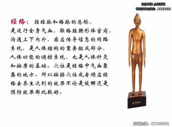 高思楠补肾宝典：现代男性健康养护指南