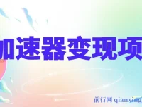 加速器变现项目实操教程，一部手机轻松日入1000+，寒假风口别错过