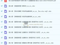 2024初三化学陈谭飞秋季下A+班课程视频+讲义