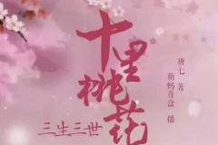 三生三世十里桃花 影视原著多人有声剧 48集全本收录