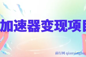 加速器变现项目实操教程，寒假风口期一部手机轻松日入1000+