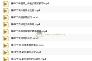 短视频+直播带货实操课：从基础到运营，90节系统实战全攻略