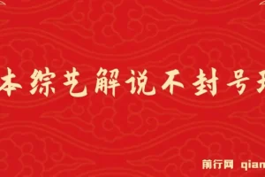 日本综艺解说蓝海项目教程，零基础轻松上手，日入1000+新玩法