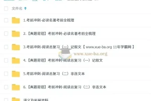 2025段微微初三语文中考冲刺班（春下·全国版·A+）备考课程