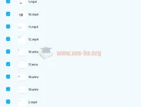 剑桥商务英语BEC初级+中级+高级视频教程全集
