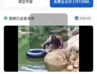 视频号去重技术教程：原创内容打造与收益提升指南