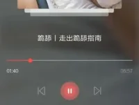 恋爱学理学：从吸引力构建到高价值展示的完整指南