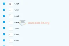 剑桥商务英语BEC初级+中级+高级视频教程全集
