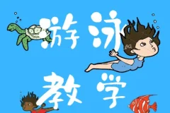 游泳教学视频全集：从零基础到四种泳姿系统学习