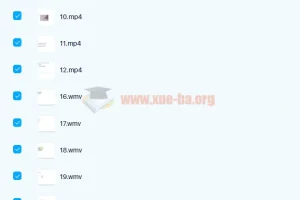 剑桥商务英语BEC初级+中级+高级视频教程全集