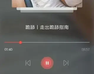 恋爱学理学：从吸引力构建到高价值展示的完整指南