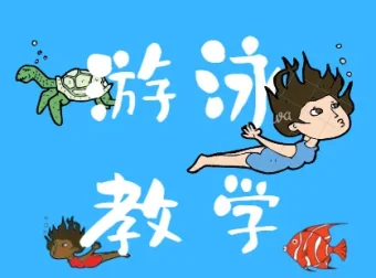 游泳教学视频全集：从零基础到四种泳姿系统学习