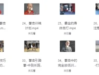 杰森拳击系统教学65课合集 中英双语字幕
