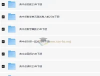 典中点小学语数英学习资料包·2025春 全科同步教辅合集